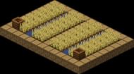 A planter box farm generated in villages (Image via Mojang)